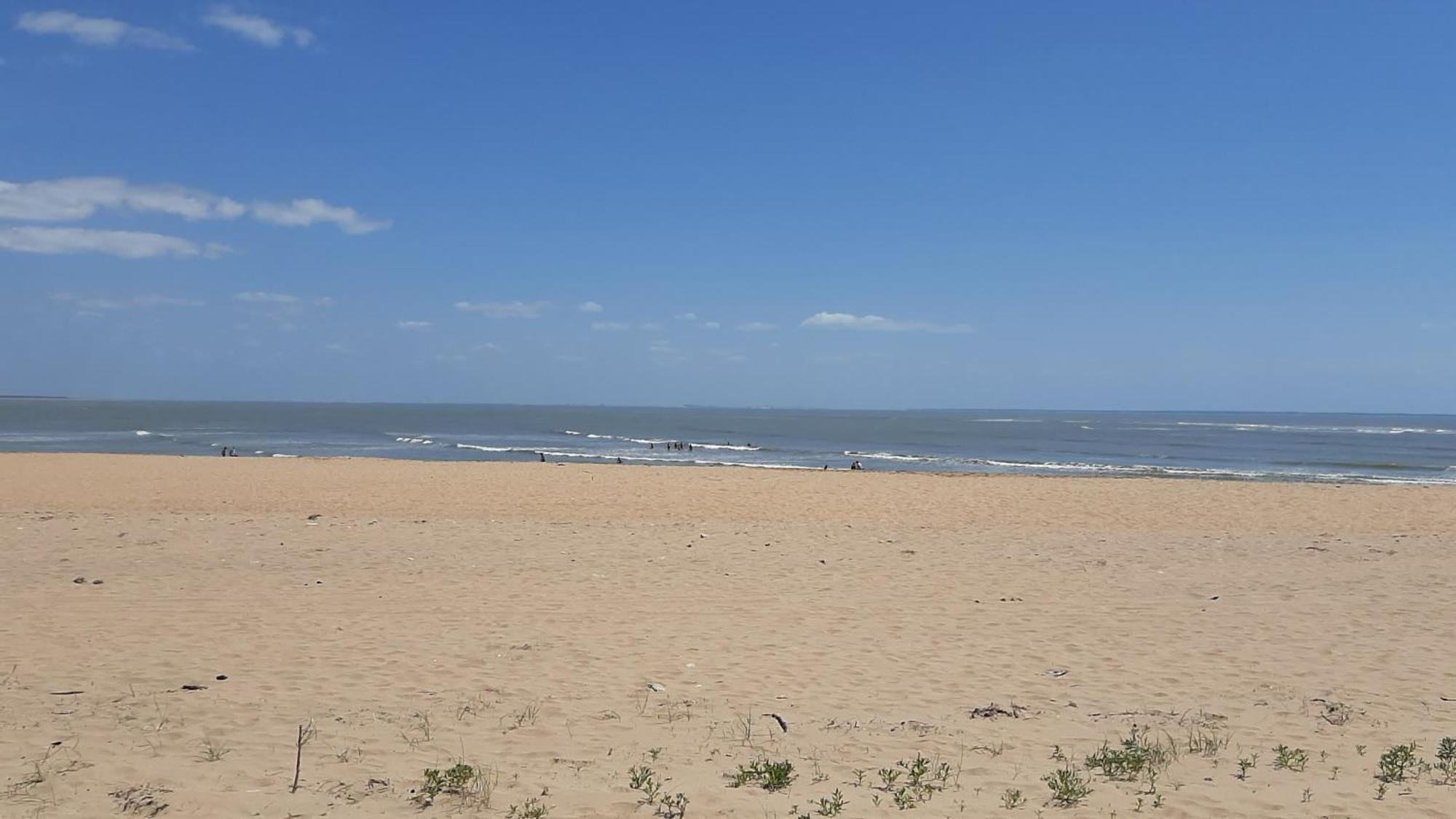 Terr'ocean *